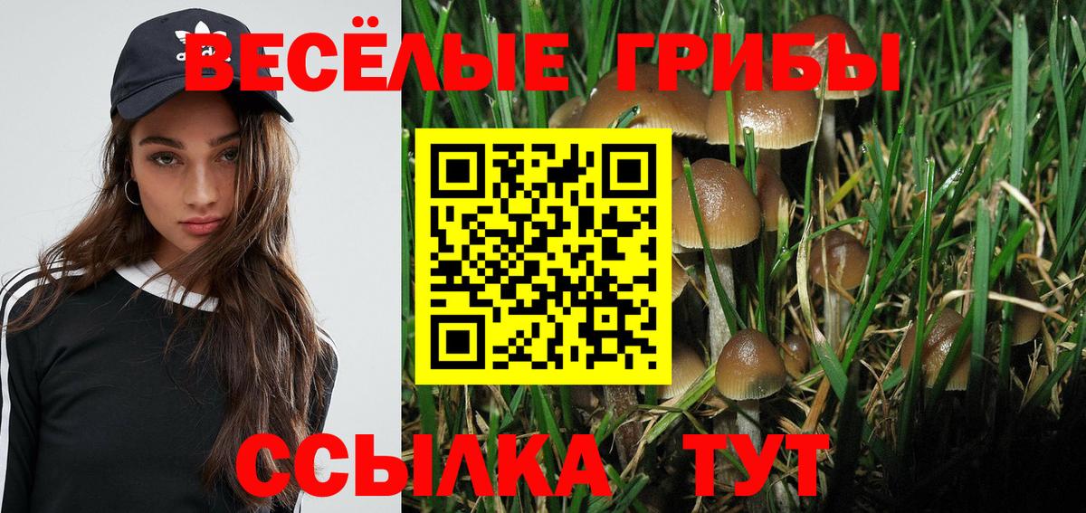 цена наркотик  Псилоцибиновые грибы Magic Shrooms  Псилоцибиновые грибы Magic Shrooms  Вход с VPN  Вятские Поляны 