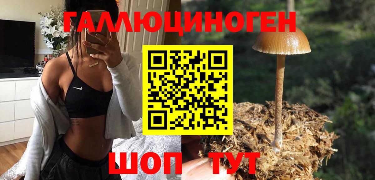 Галлюциногенные грибы прущие грибы Вятские Поляны